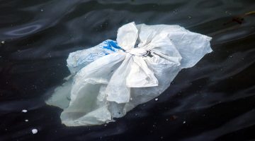 Ocean full of plastic